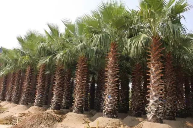 海南自由贸易港建设迈入新阶段——外交部发言人发声