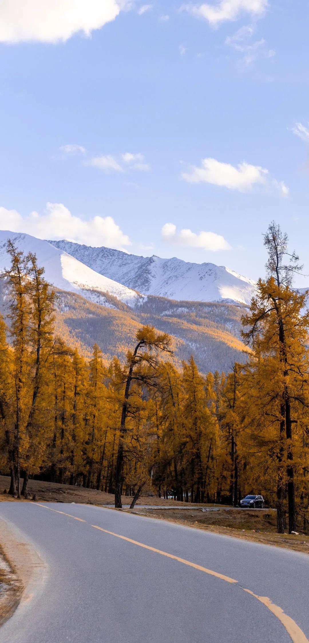 新疆，探寻神秘大地的无尽魅力