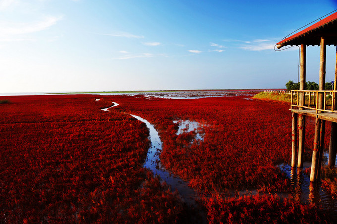 盘锦，城市与梦想的励志篇章